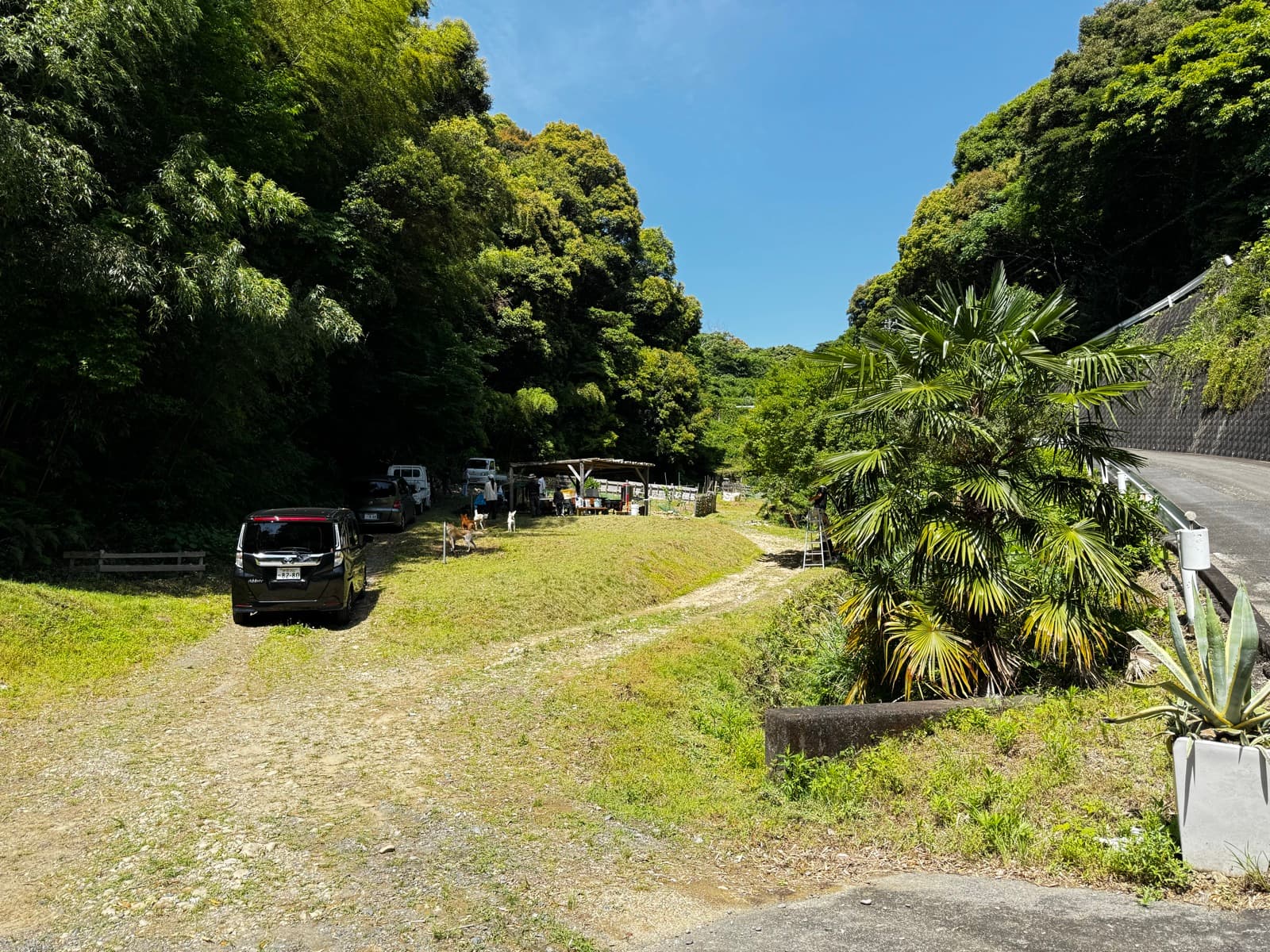 たけのこ村の風景